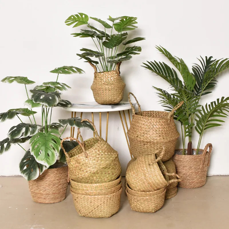 Potted plants in various woven baskets on a beige floor against a white wall.