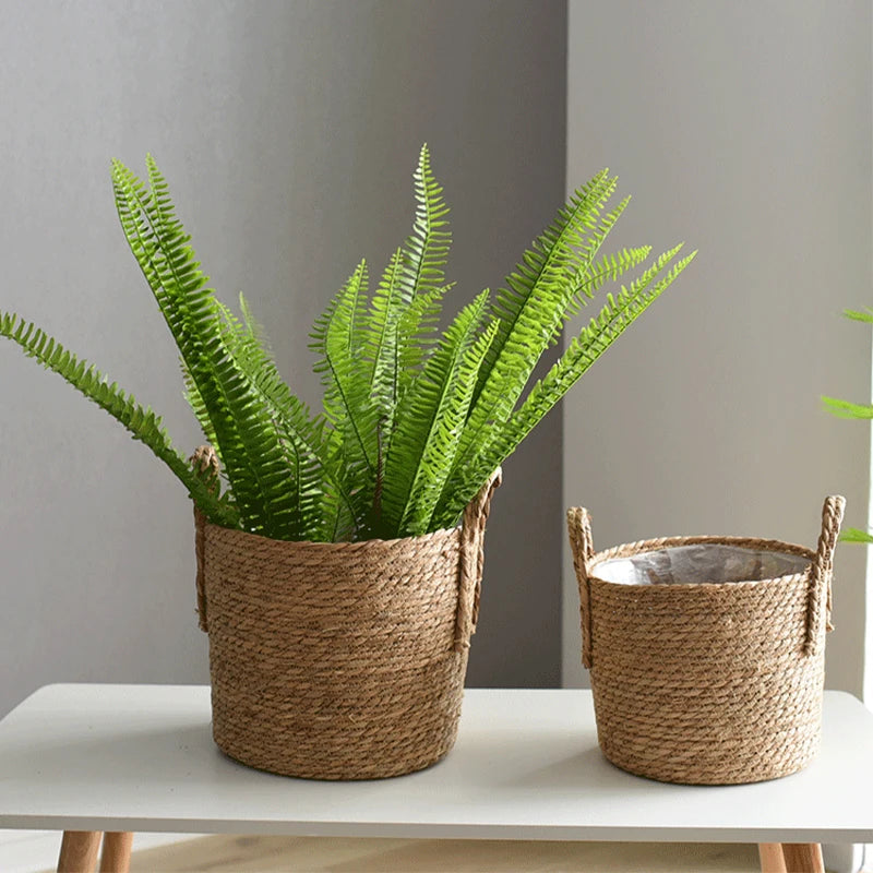 Two woven baskets with green plants on a white surface against a gray wall.
