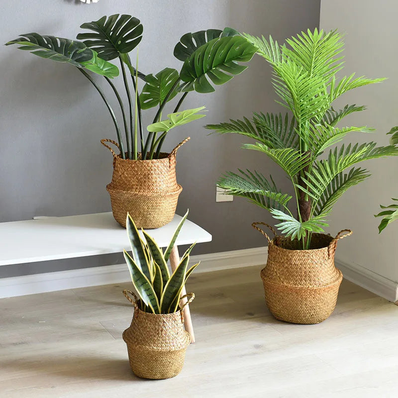 Three potted plants in woven baskets on a light wooden floor against a gray wall.