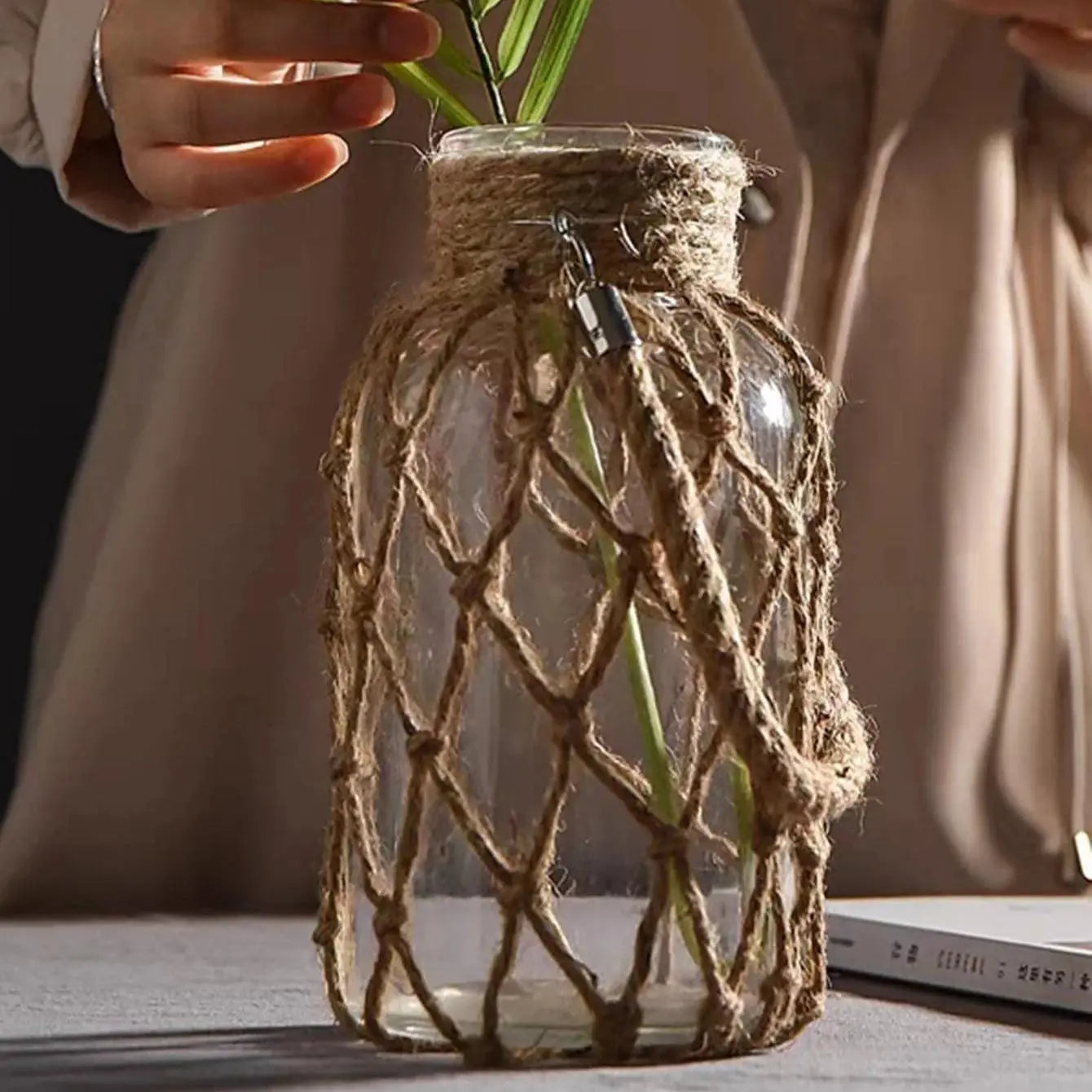 Glass vase with rope netting holding a plant