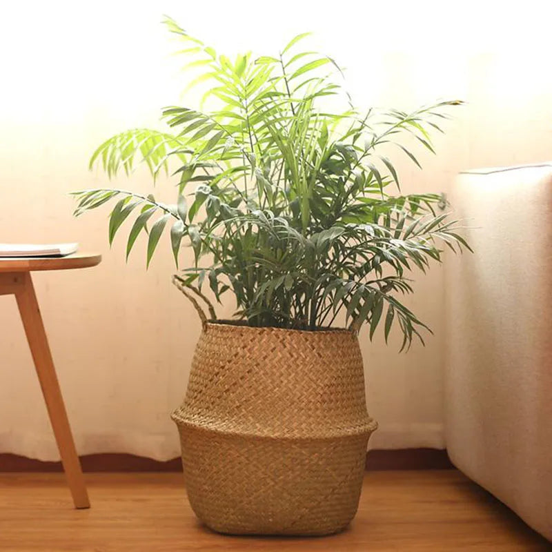 Potted plant in a woven basket on a wooden floor with a neutral background