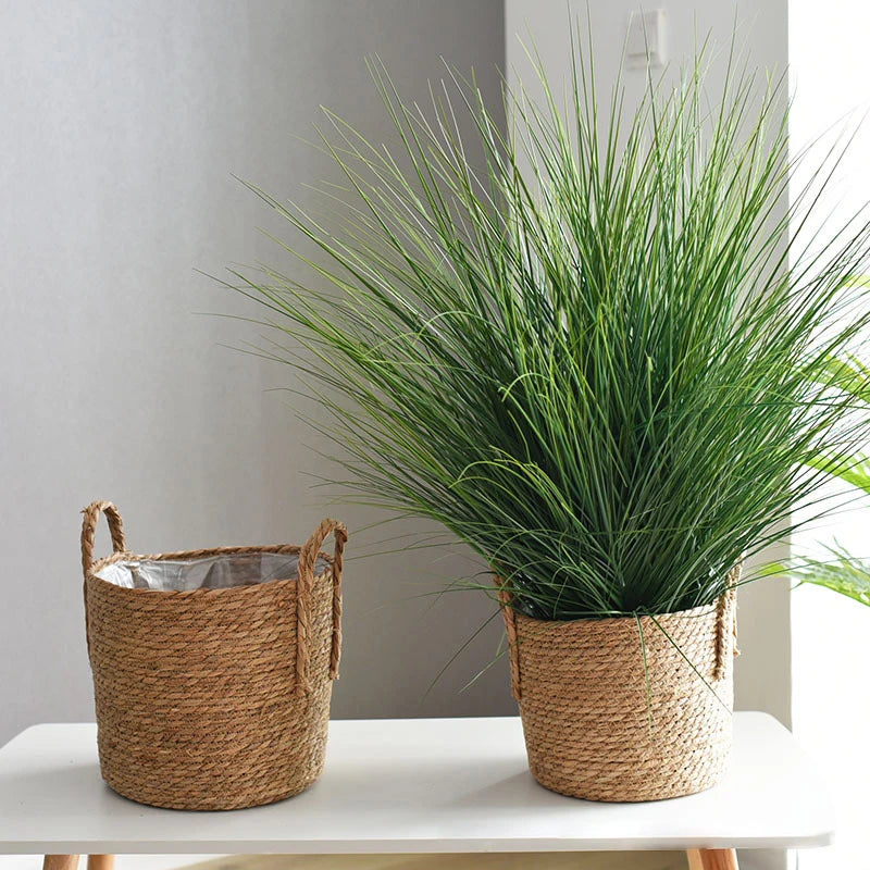 Two potted plants in woven baskets on a white surface with a neutral background