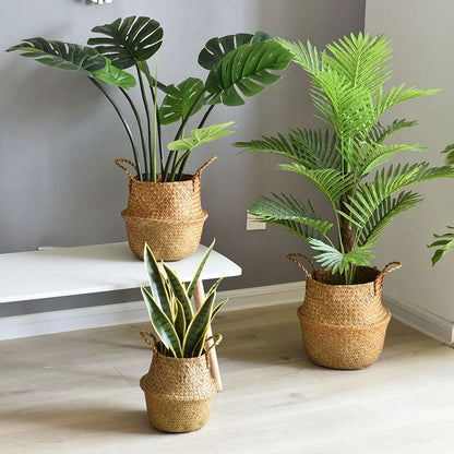 Three potted plants in woven baskets on a light wooden floor against a gray wall.