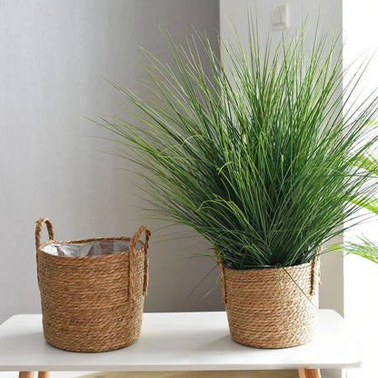 Two potted plants in woven baskets on a white surface with a neutral background